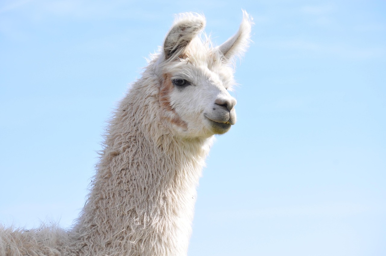 买微信小号：学业网APP详情下载教程