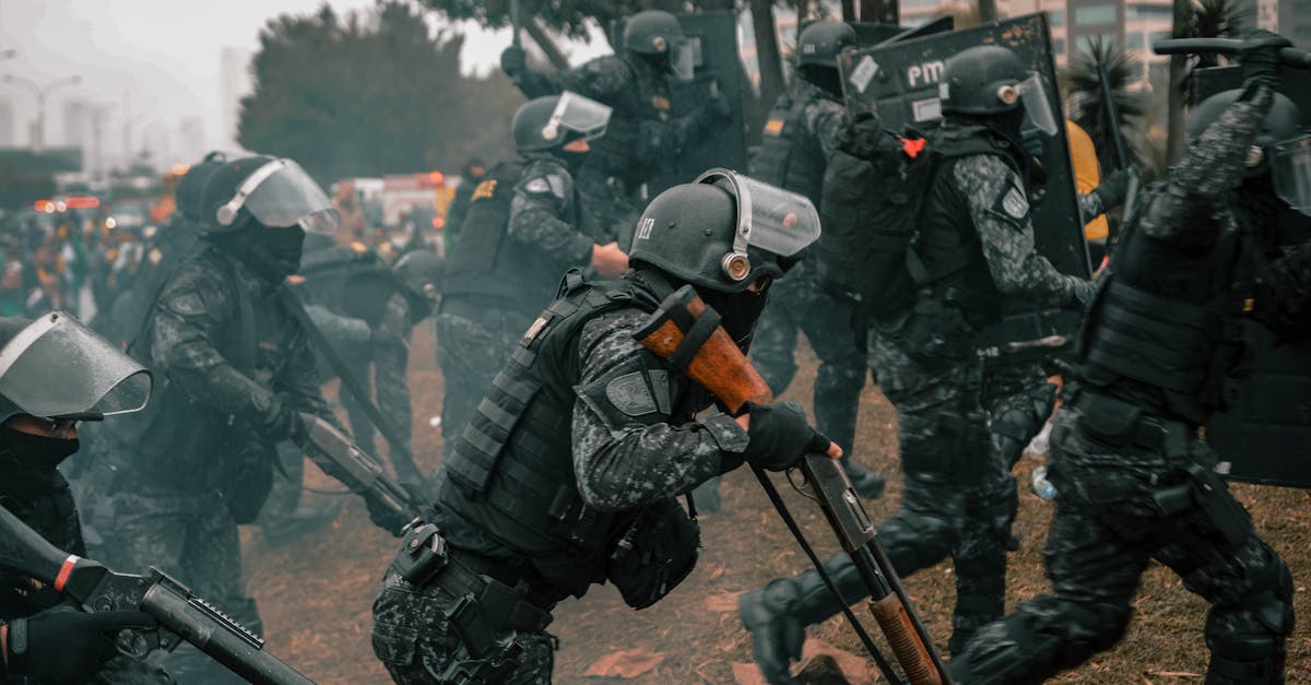 丽晶国际实名账号：小鸟云代理平台源码