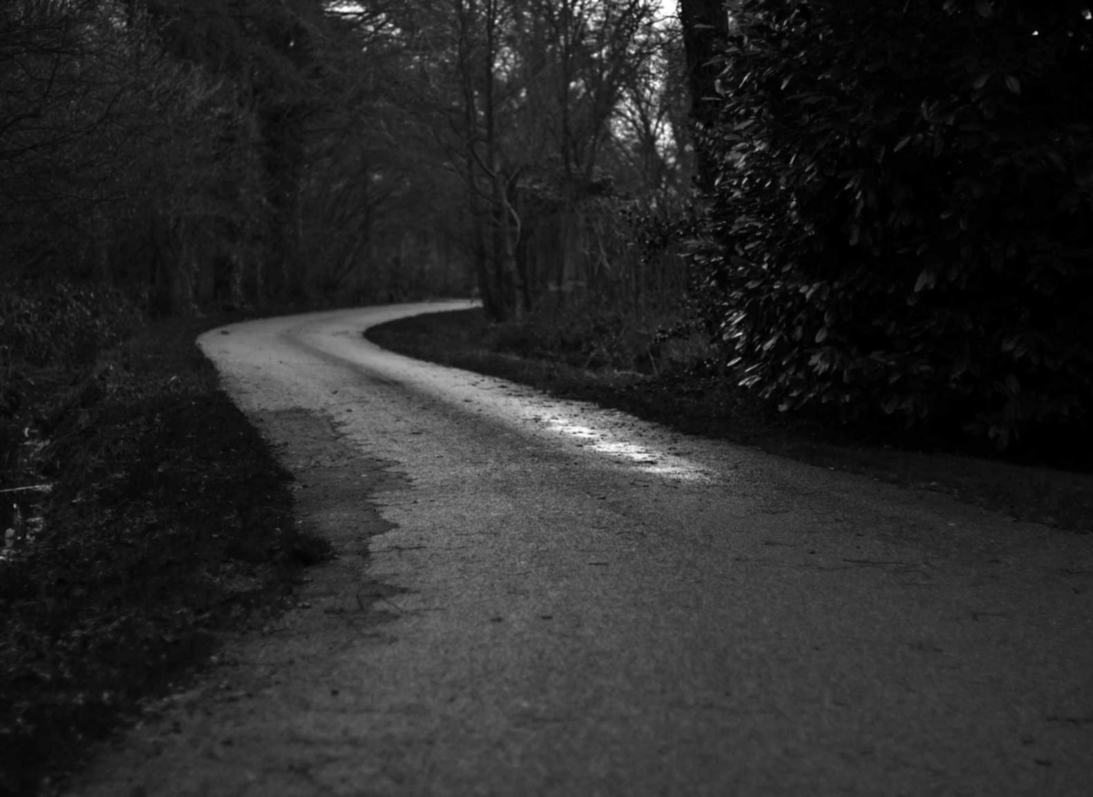 快手实名账号：越南订餐代理平台