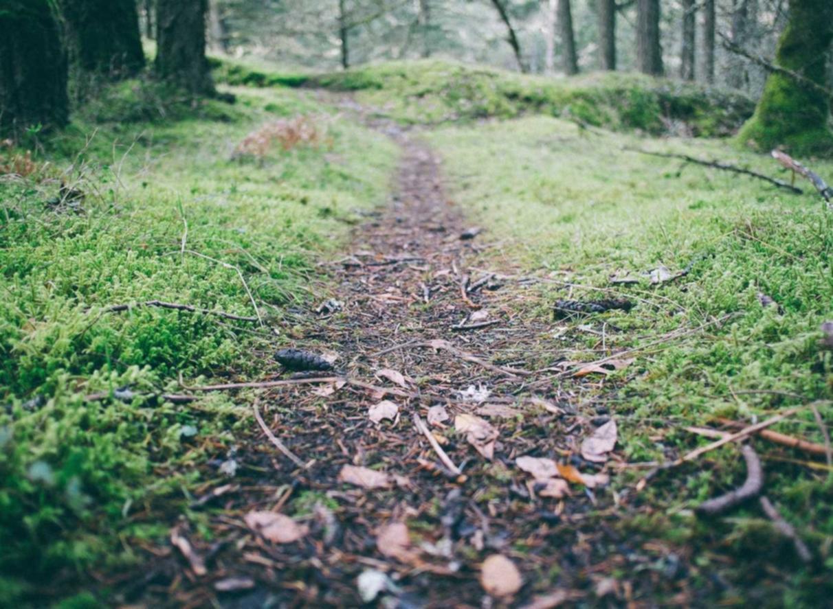 红豆电信实名账号:实名认证对网上招标的安全保障