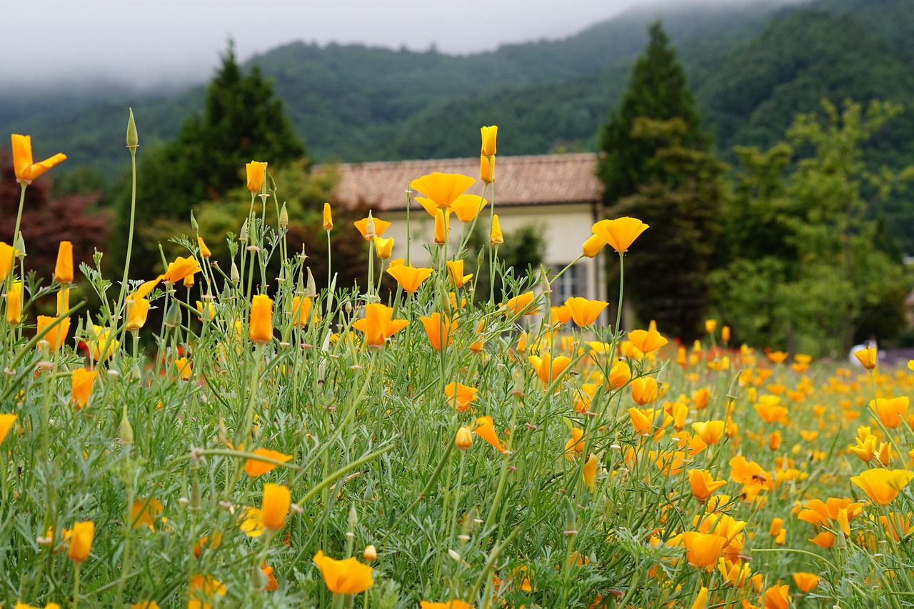 DDOS压力测试网页端|币安为什么注册不了账号