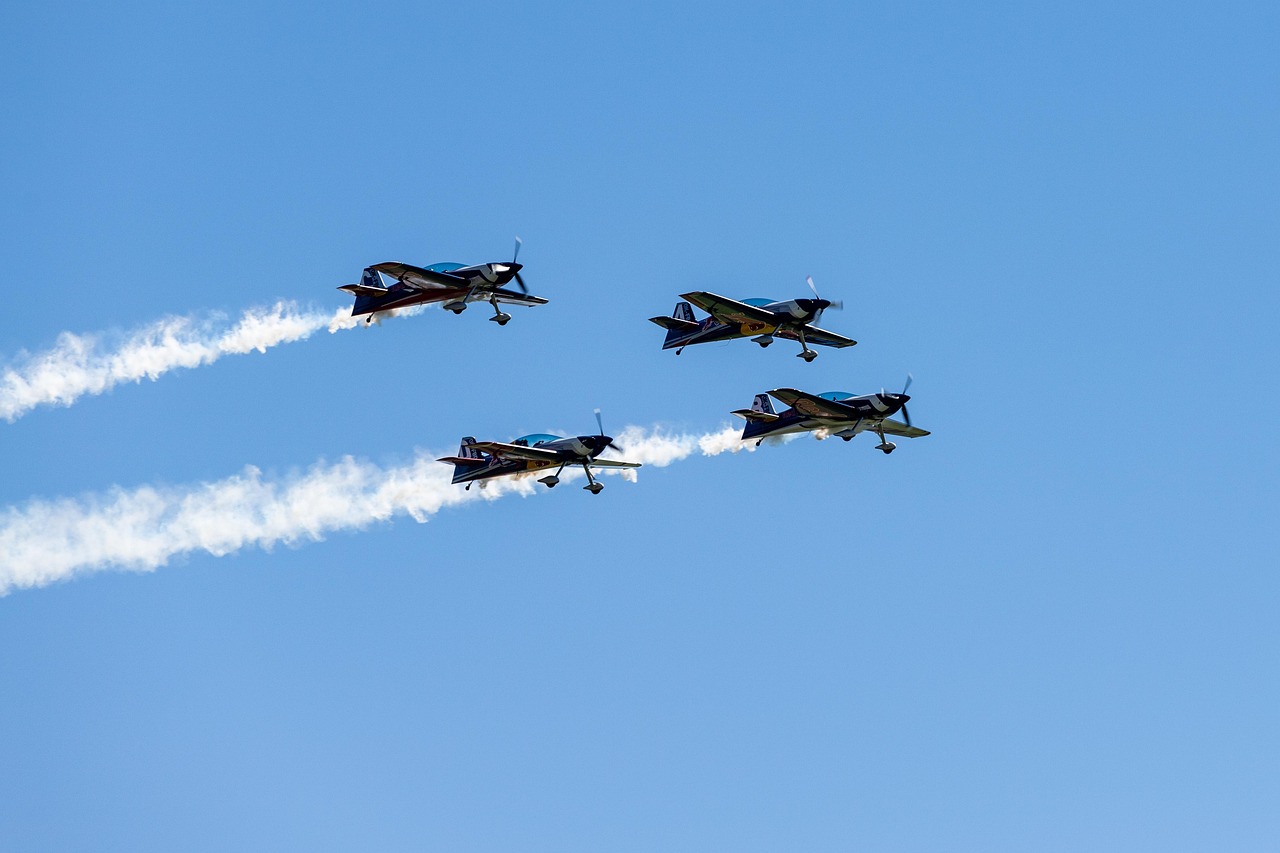 技术支持辅助和网络安全的生态平衡