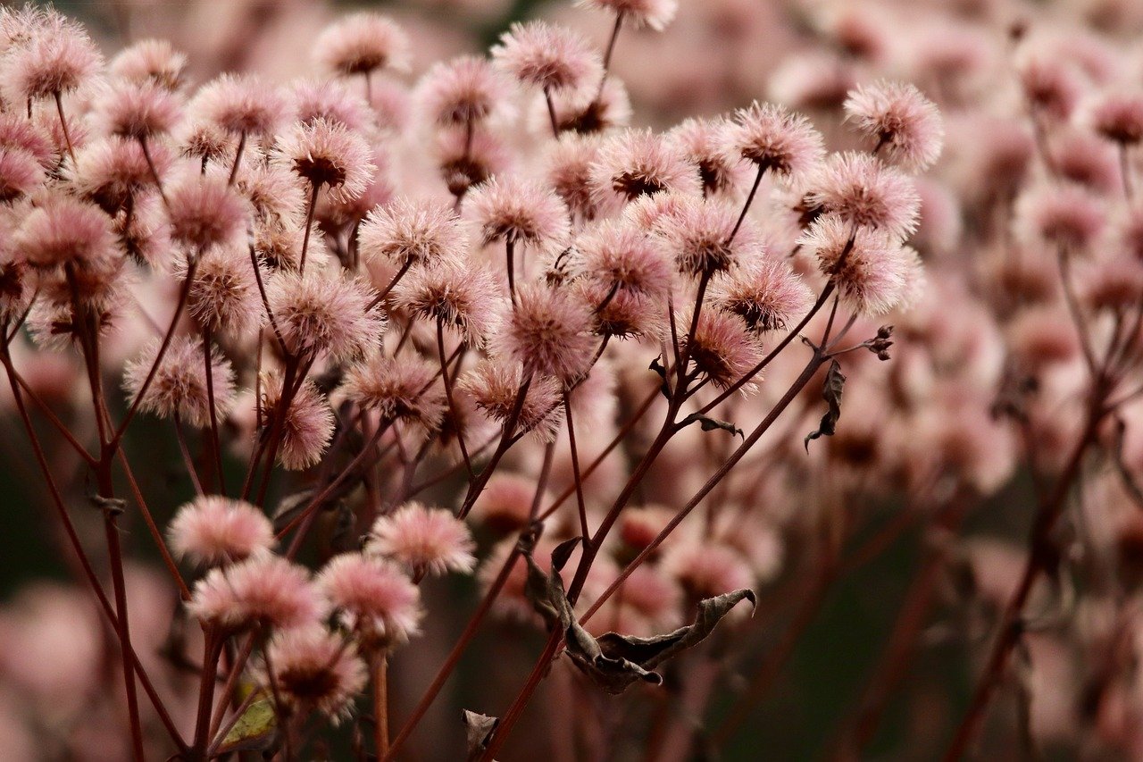 冰火启示录：泉州代理注册收费